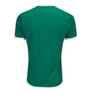 Camisa Palmeiras I 25/26 Torcedor - Verde