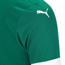 Camisa Palmeiras I 25/26 Torcedor - Verde